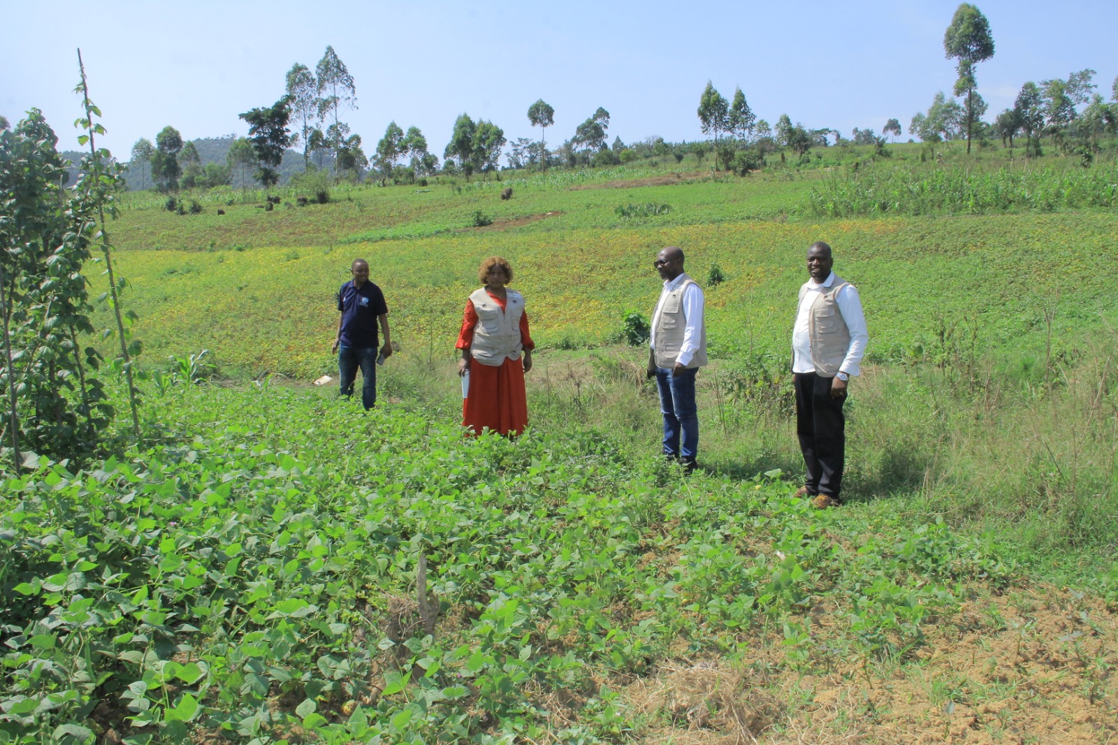 Le Groupe Académia RDC reçoit la délégation du Ministèr...