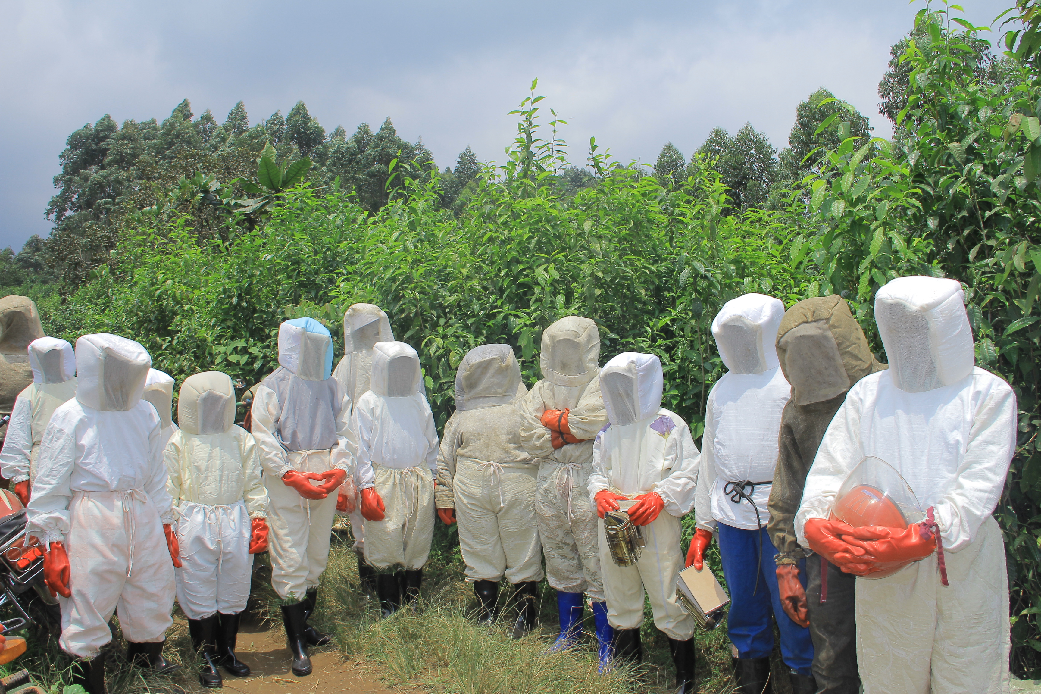 Environnement et Changement Climatique